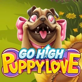 game logo by RubyPlay on instasspin.co.nl